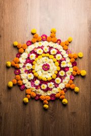 Flower Rangoli for Diwali or Pongal Festival made using Marigold or Zendu flowers and Rose petals over moody or white background, selective focus
